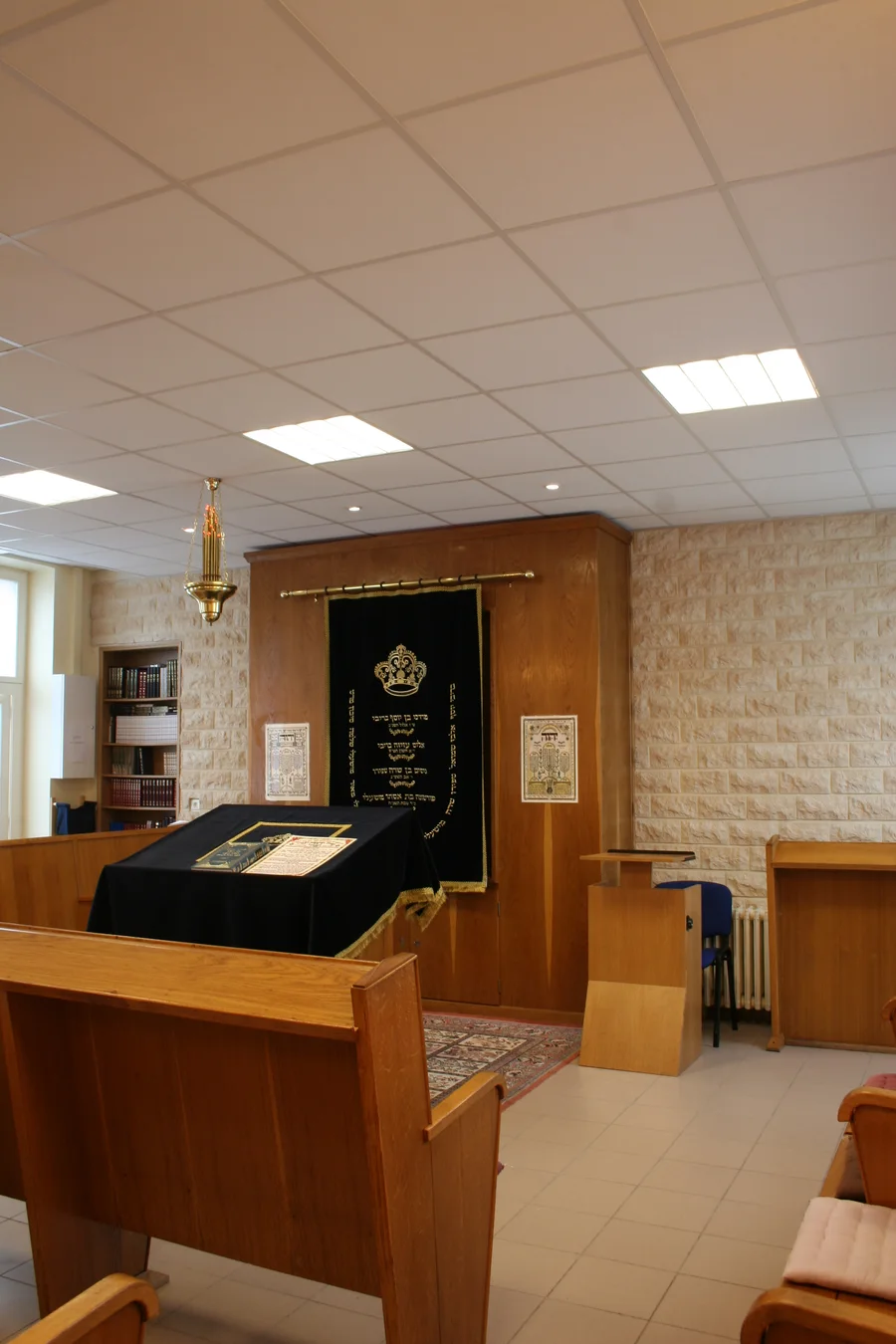 Photographie de ECJS Beth-Hillel publiée par sa communauté ou son organisme référent
